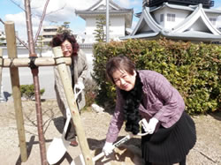 写真