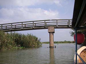 橋